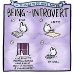 While Being An Introvert