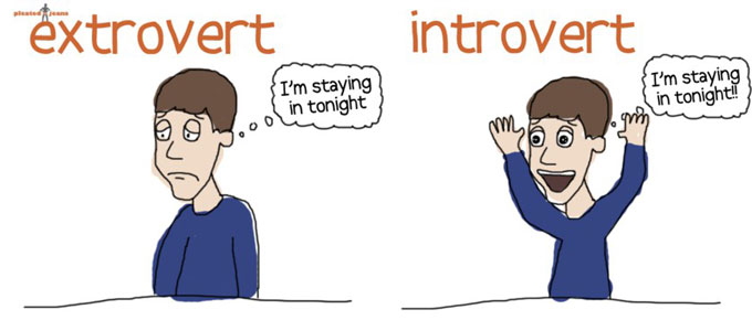 7 Things Introverts Extroverts