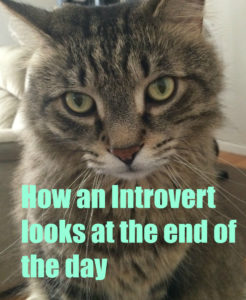 Introvert End Day